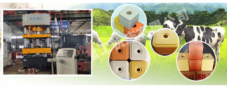 630吨牛羊舔砖液压机